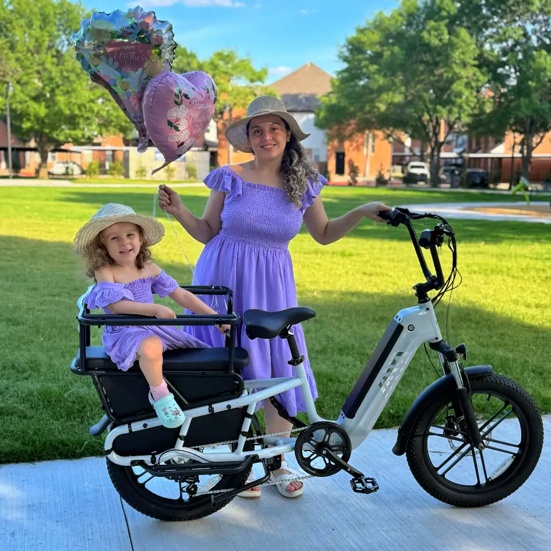 TST® Carrier 20'' Cargo Electric Bike - Image 3